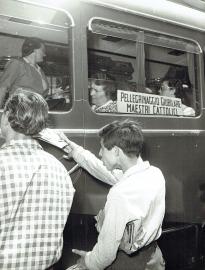 Movimento maestri di Azione cattolica, 1929-1981 (Mm)